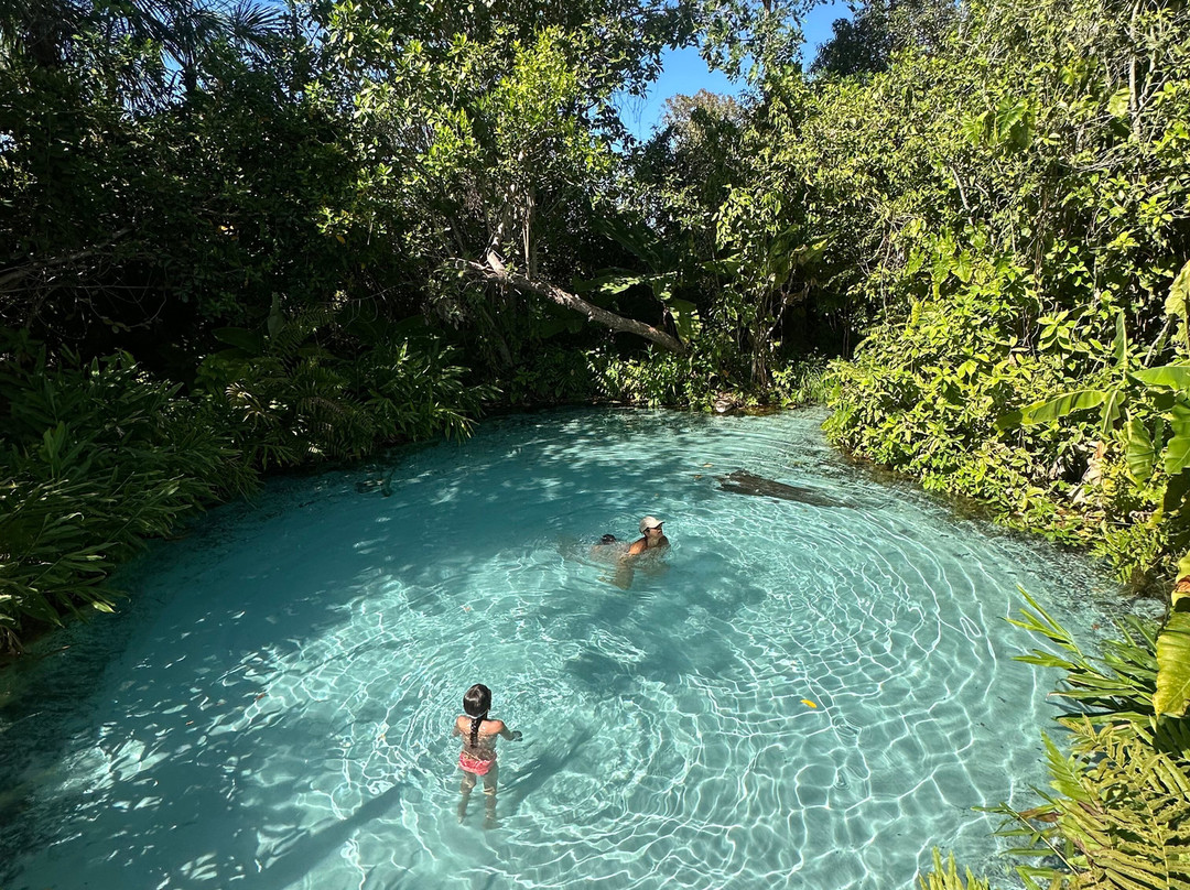 Jalapao Turismo-Jalapao State Park必去景点