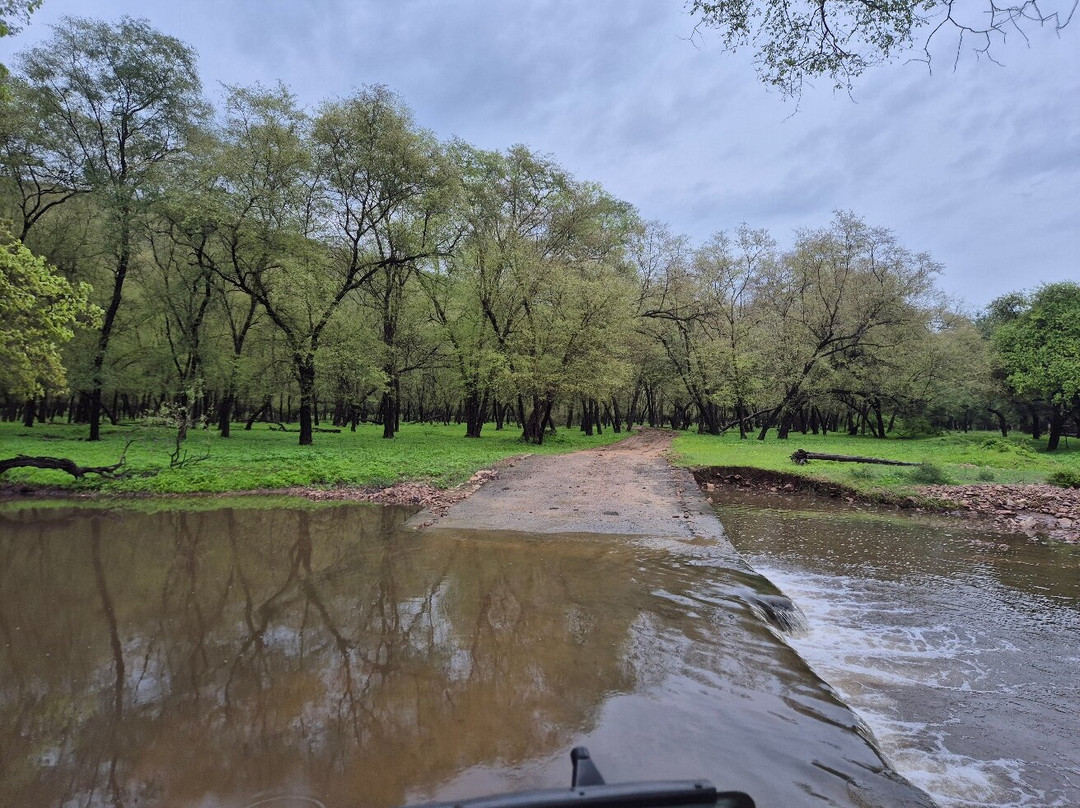 Ranthambore Tiger Safari-瑟瓦伊马托布尔必去景点