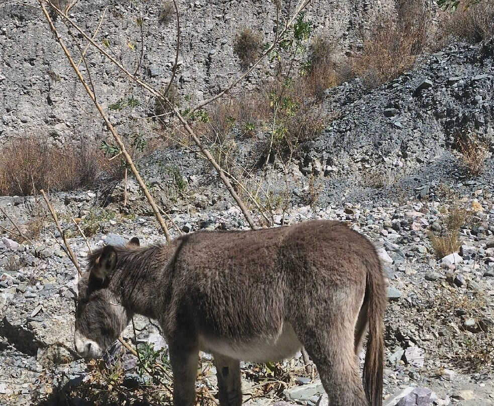 San Isidro-Iruya必去景点
