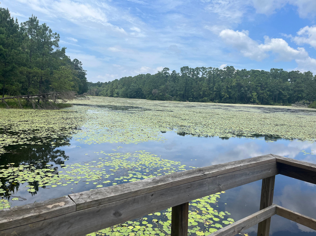 Double Lake Recreation Area-Coldspring必去景点