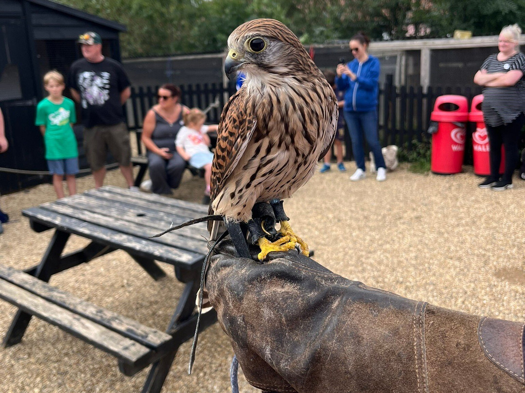 Herring Green Activity Farm-贝德福德必去景点