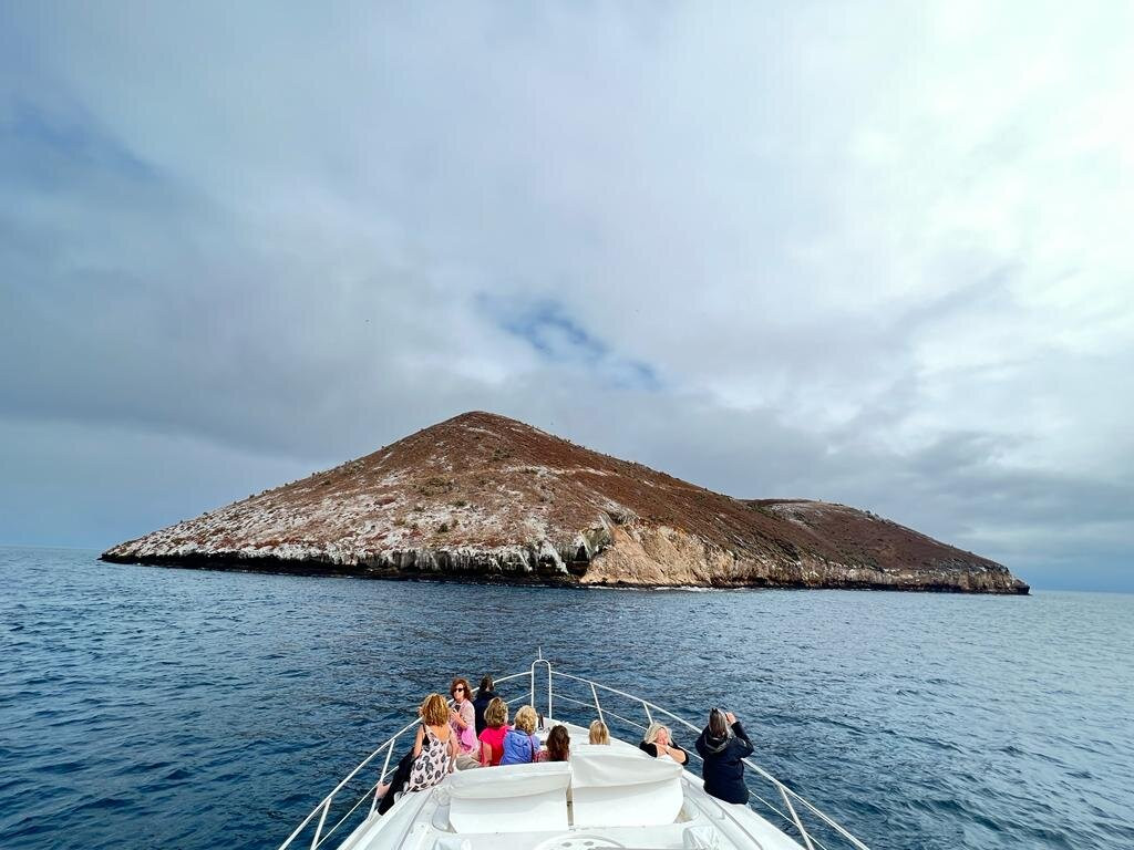 Windrose-阿约拉港必去景点