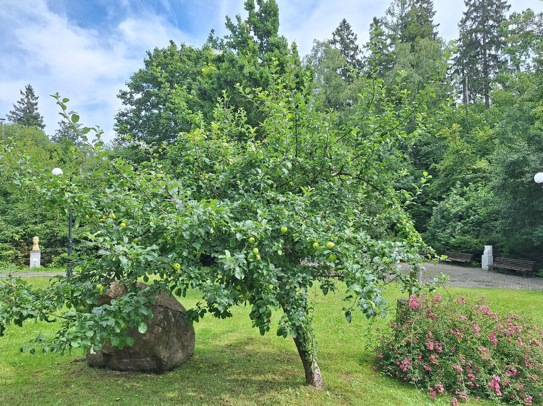 German Brakhert's House Museum-Otradnoye必去景点
