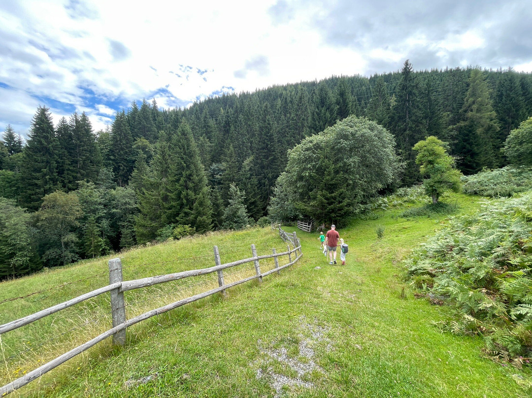 Embacher Berggolf-Embach必去景点