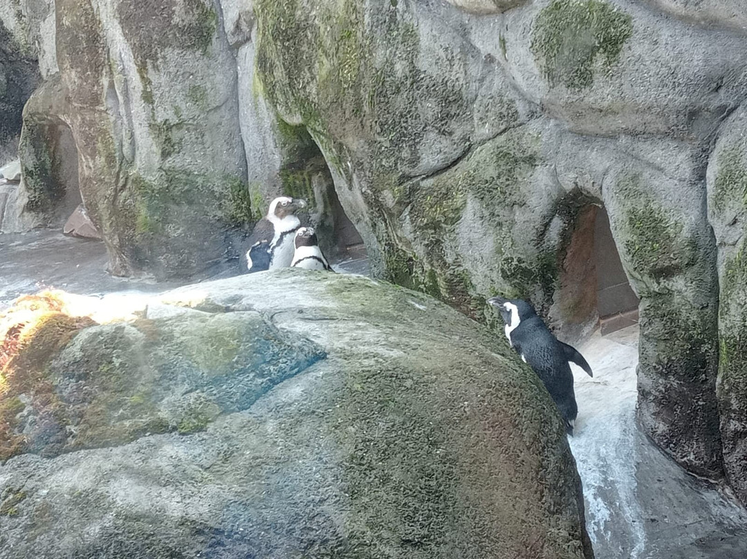 Aquazoo Loebbecke Museum-杜塞尔多夫必去景点