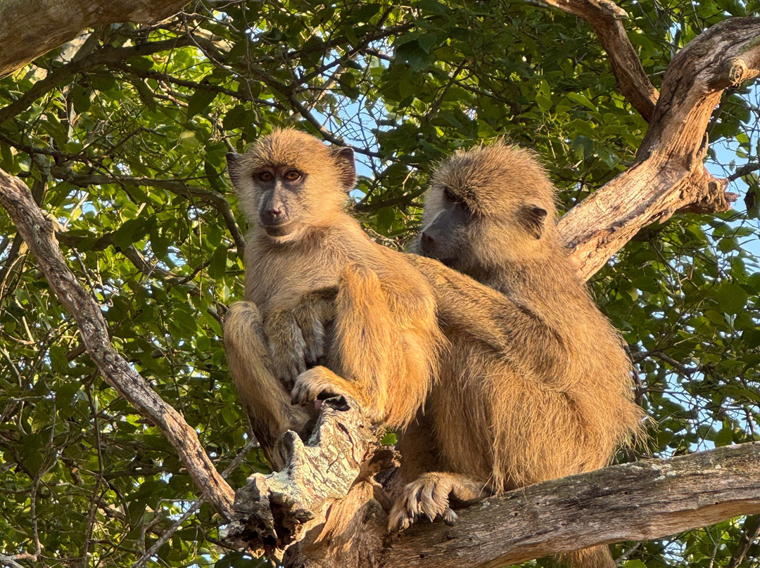 Beppe Watamu-瓦塔木必去景点