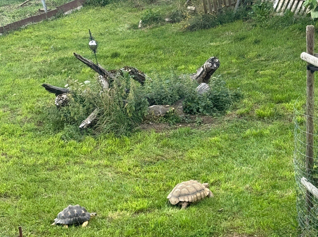 Domaine de Bel-Air-Le Landeron必去景点