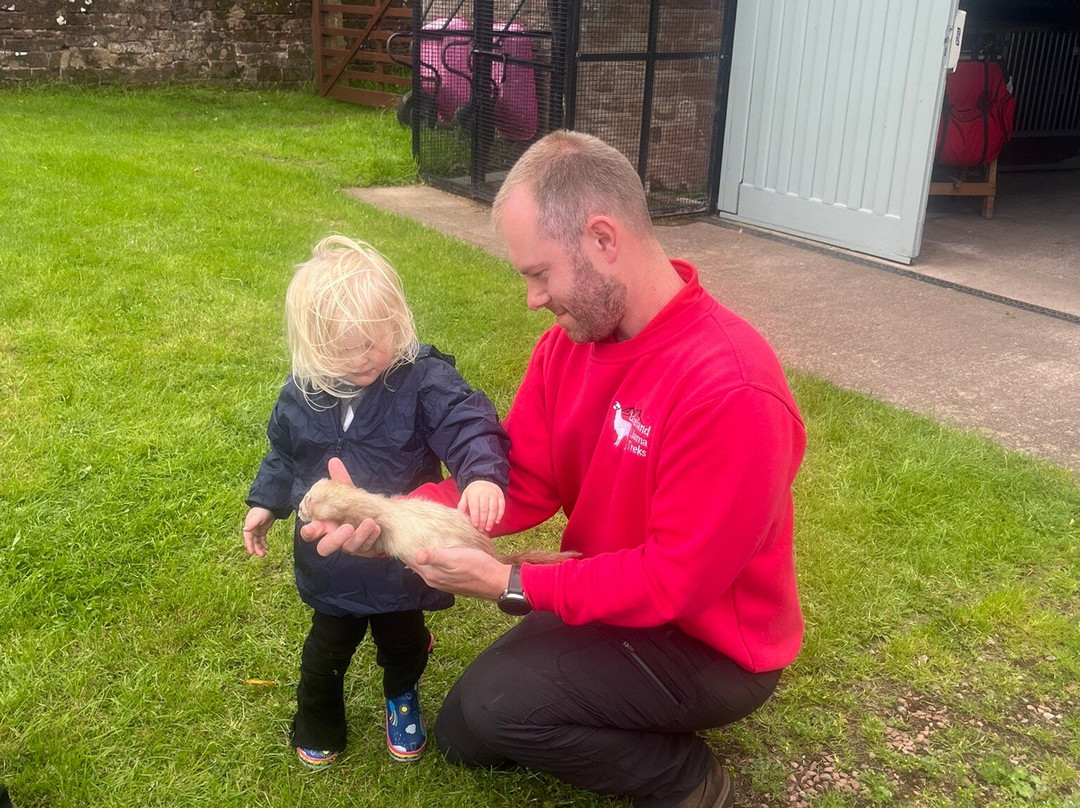 Lakeland Llama Treks-Melmerby必去景点