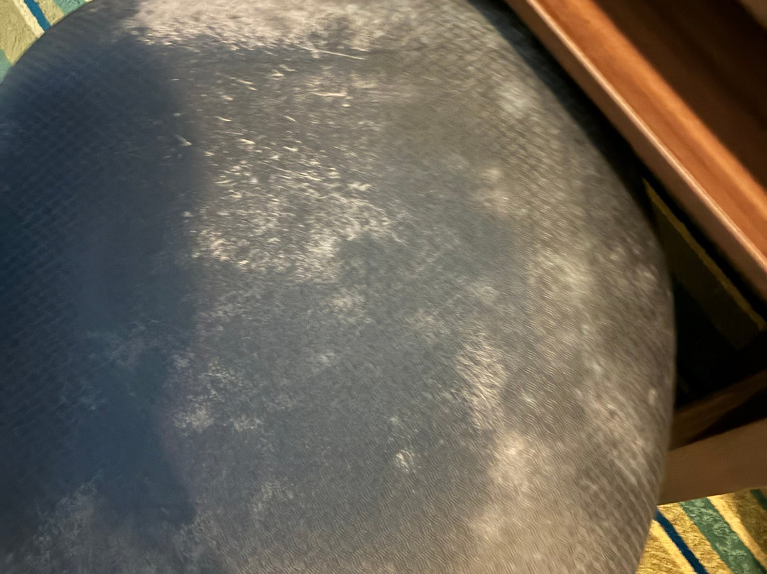 Super 8 by Wyndham Rantoul主图