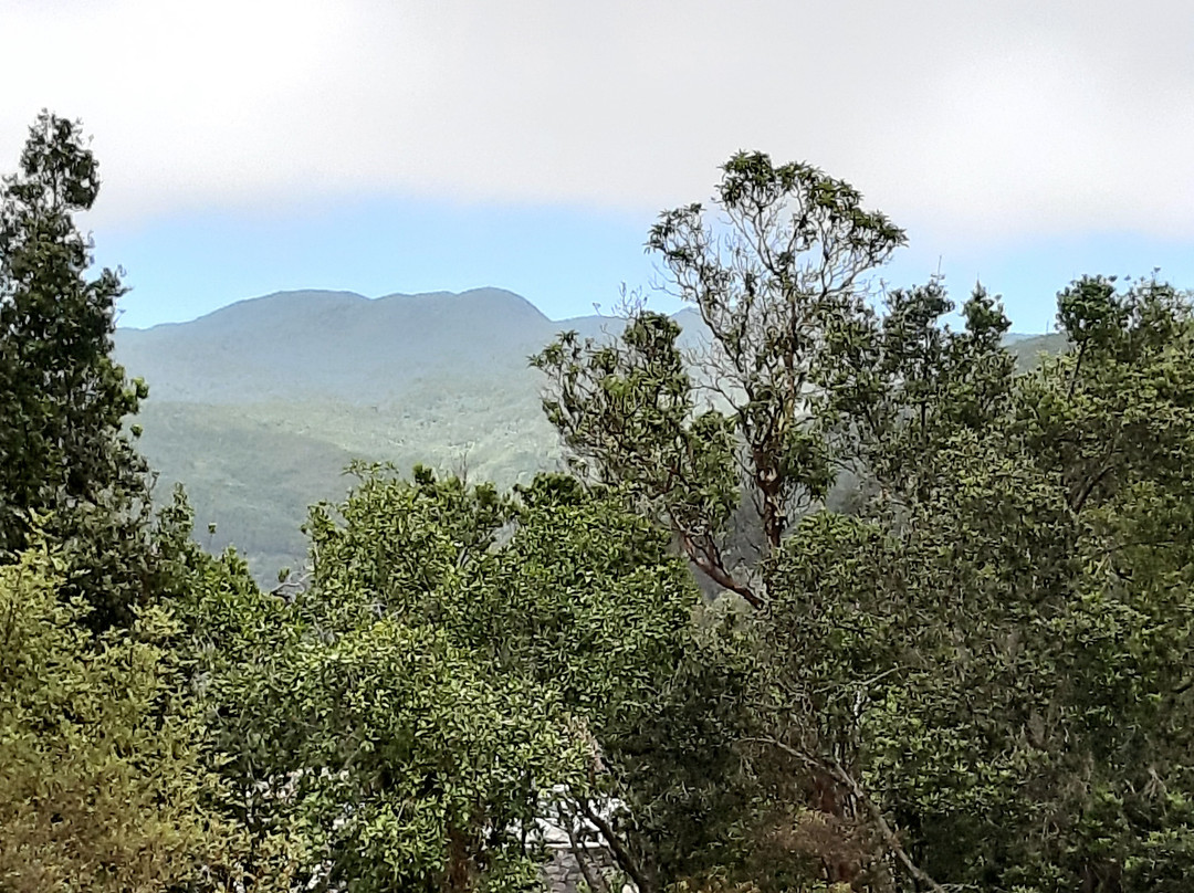 Centro de Visitantes del Parque Nacional del Garajonay-La Gomera必去景点