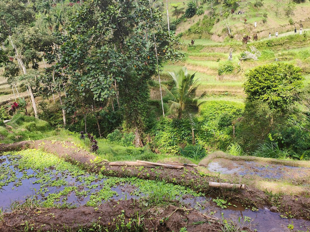Kuta Transport-登巴萨必去景点
