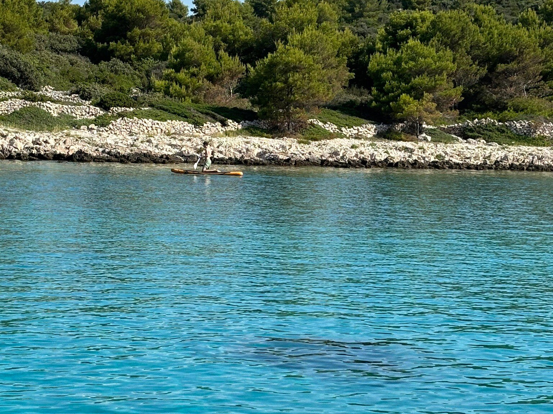 Taxi Boat Adria-佛迪赛必去景点