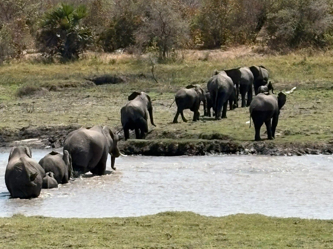 Cruize Wild Safaris-Iringa必去景点