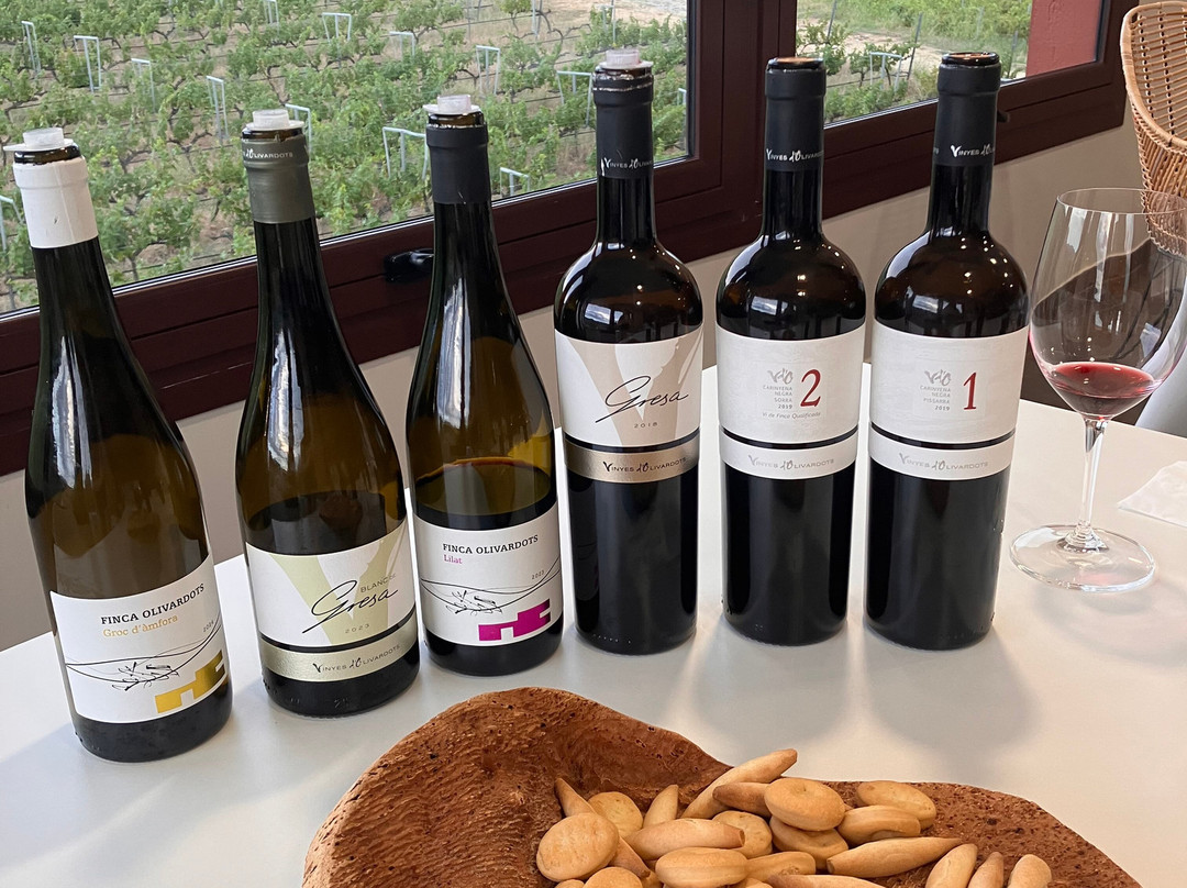 Vinyes d'Olivardots-Capmany必去景点