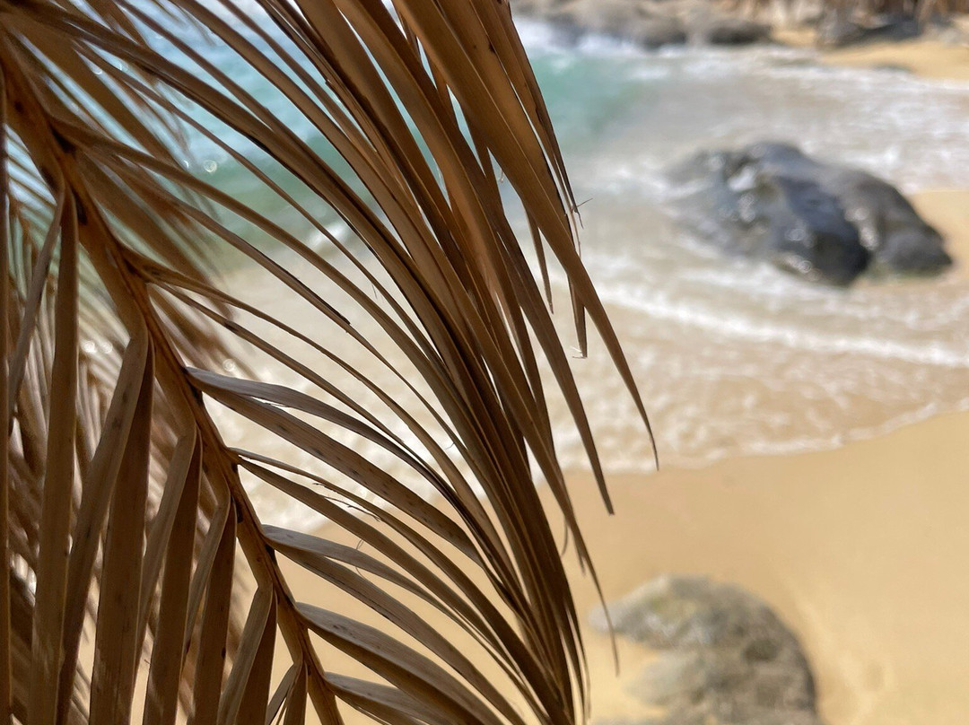 Tigania Beach-Sikia必去景点