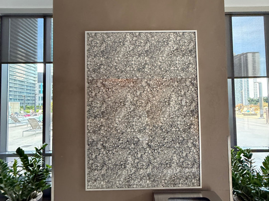 Radisson Blu Chicago Art Gallery