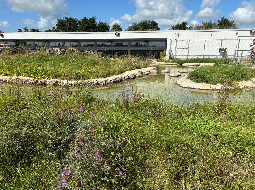 Multimar Wattforum-Toenning必去景点