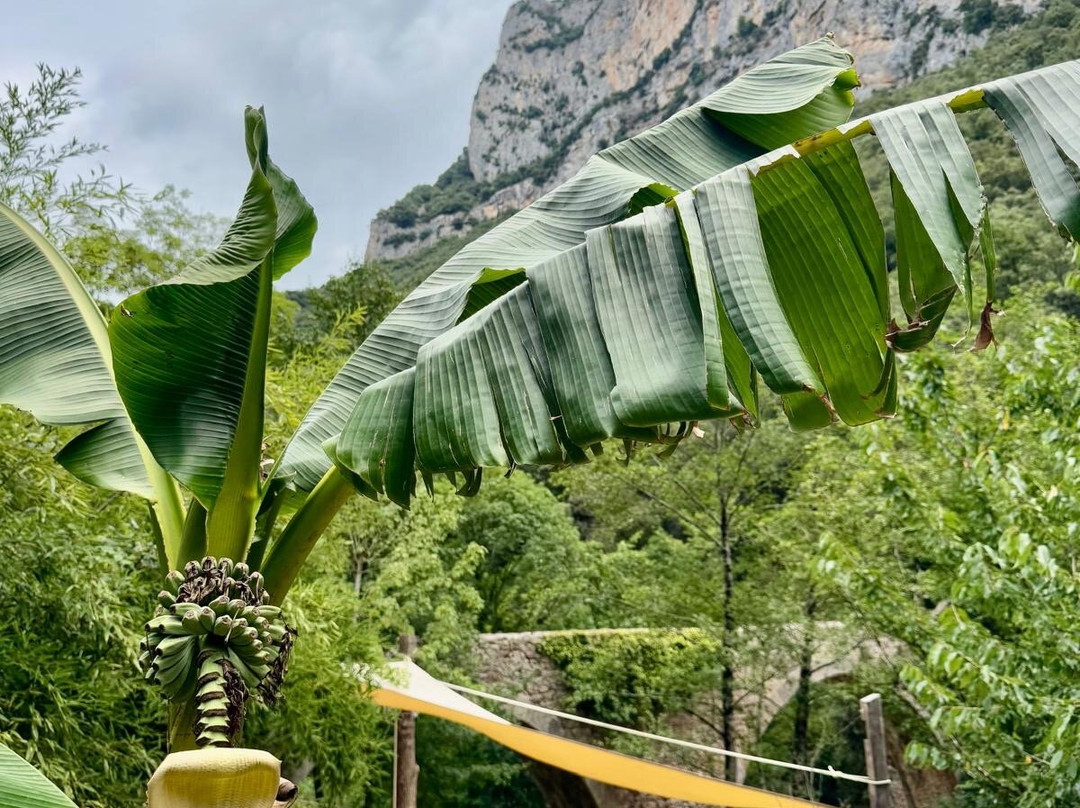 Panorama Trails-Terradelles必去景点