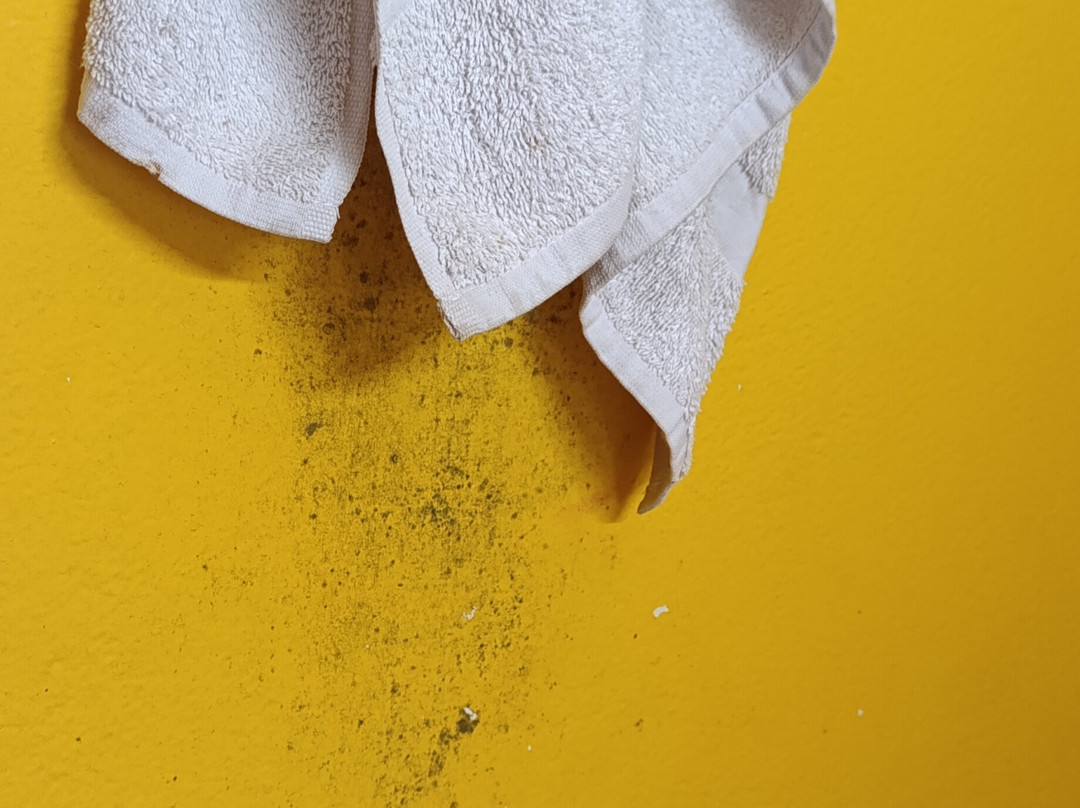 Le Jardin Exotique主图