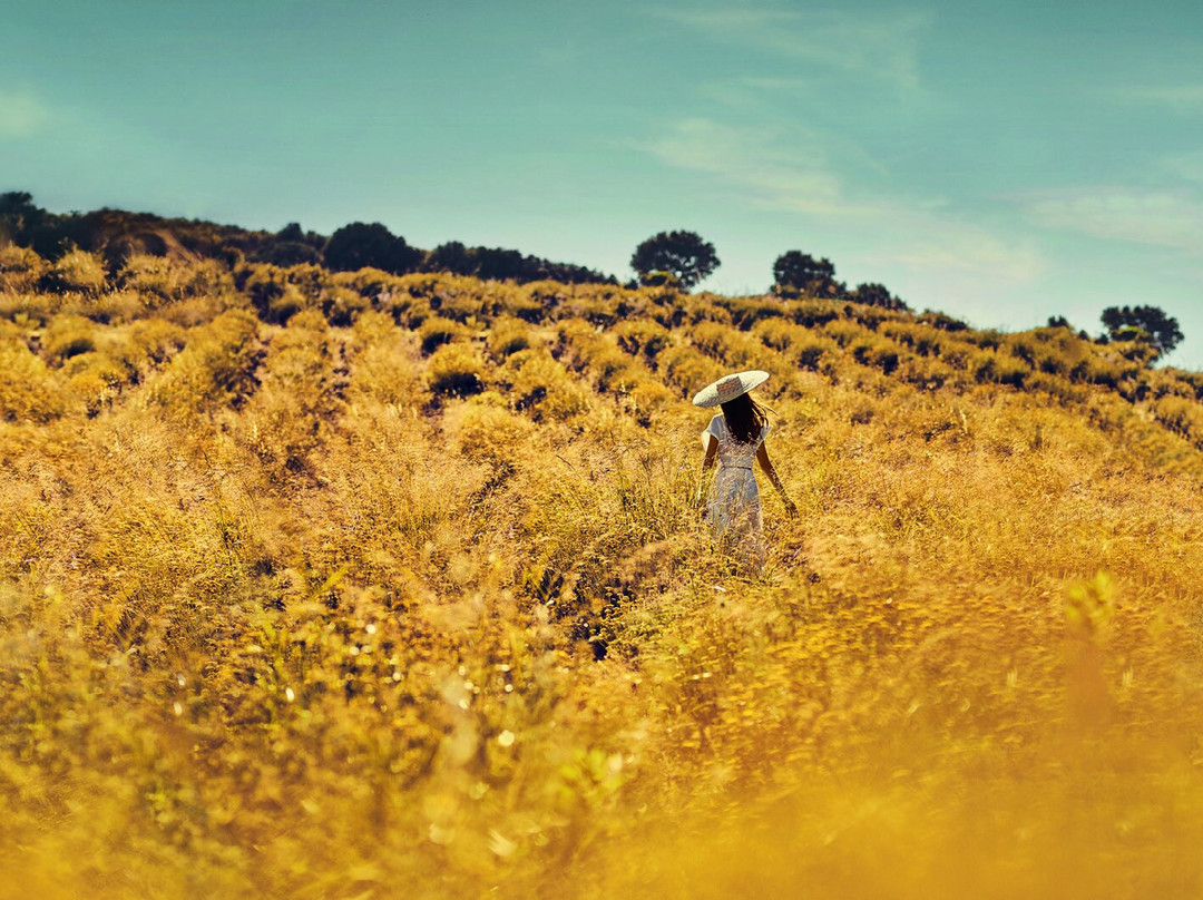 Spa L'Occitane en Provence-Nam Từ Liêm必去景点