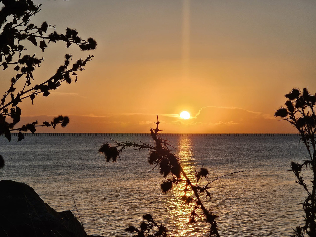 Shoebury East Beach-Shoeburyness必去景点