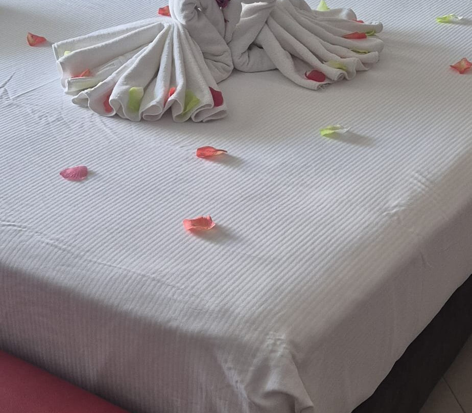 Hotel Niagara主图