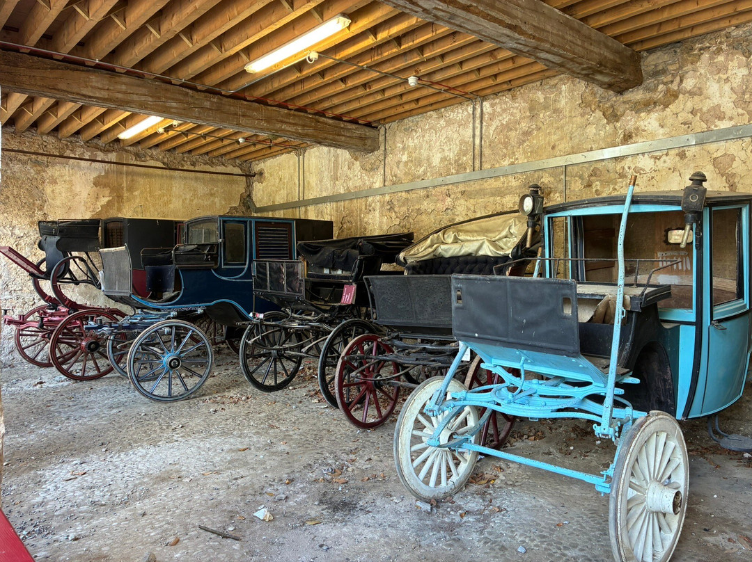 Doneraile Wildlife Park-Doneraile必去景点