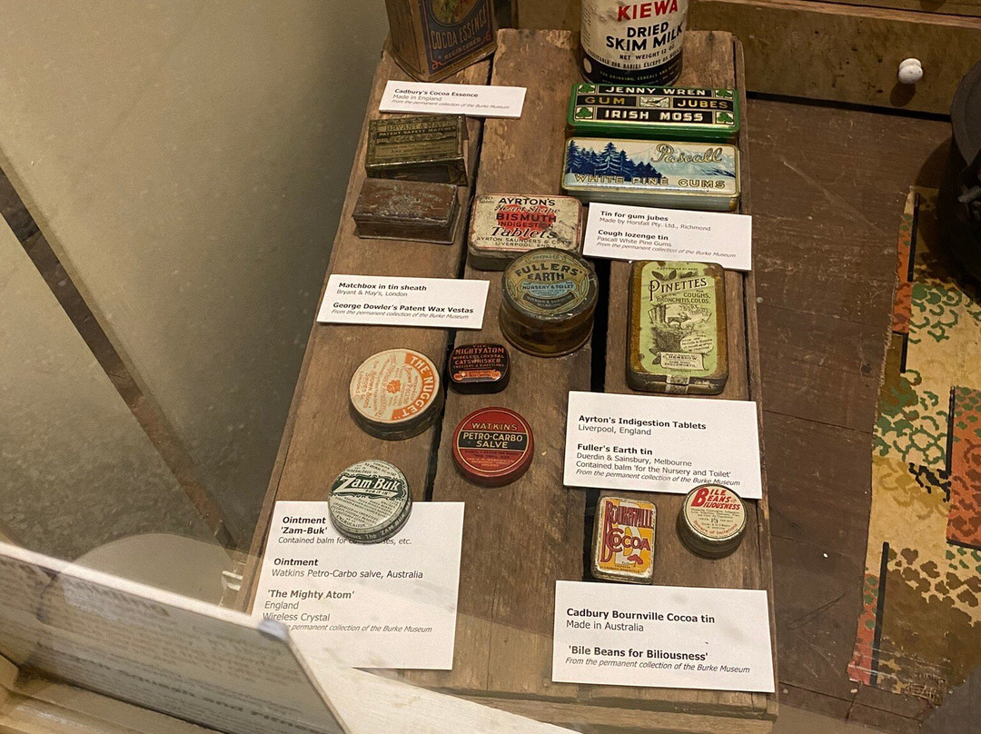 Burke Museum-比奇沃思必去景点