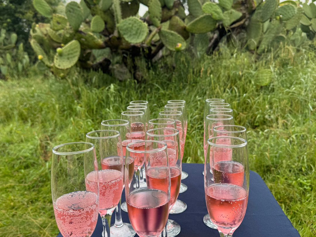 Viaja Teotihuacan-Teotihuacan Municipality必去景点