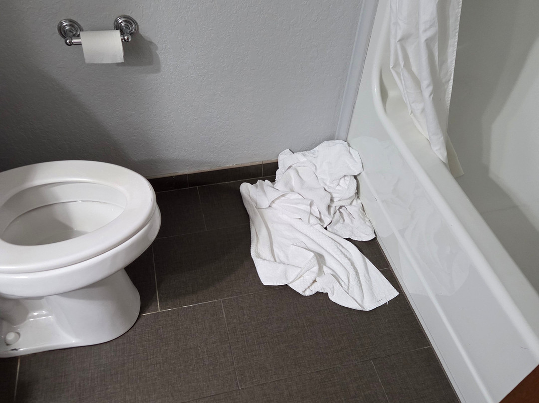 弗雷德里克斯堡贝斯特韦斯特普勒斯酒店主图