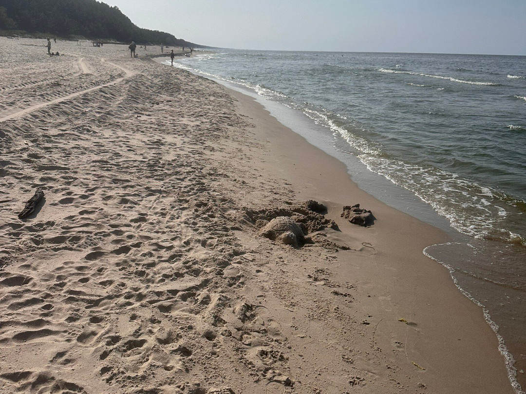 Rezerwat "Katy Rybackie"-Katy Rybackie必去景点