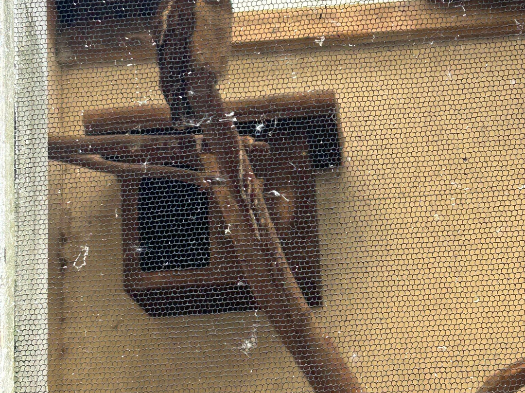 National Centre For Birds Of Prey-赫尔姆斯利必去景点