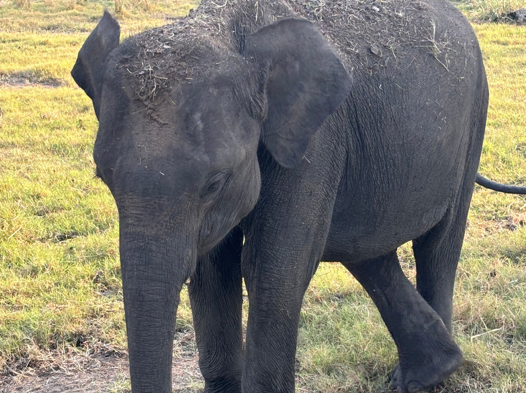 The Travel Lanka Leisure-科伦坡必去景点
