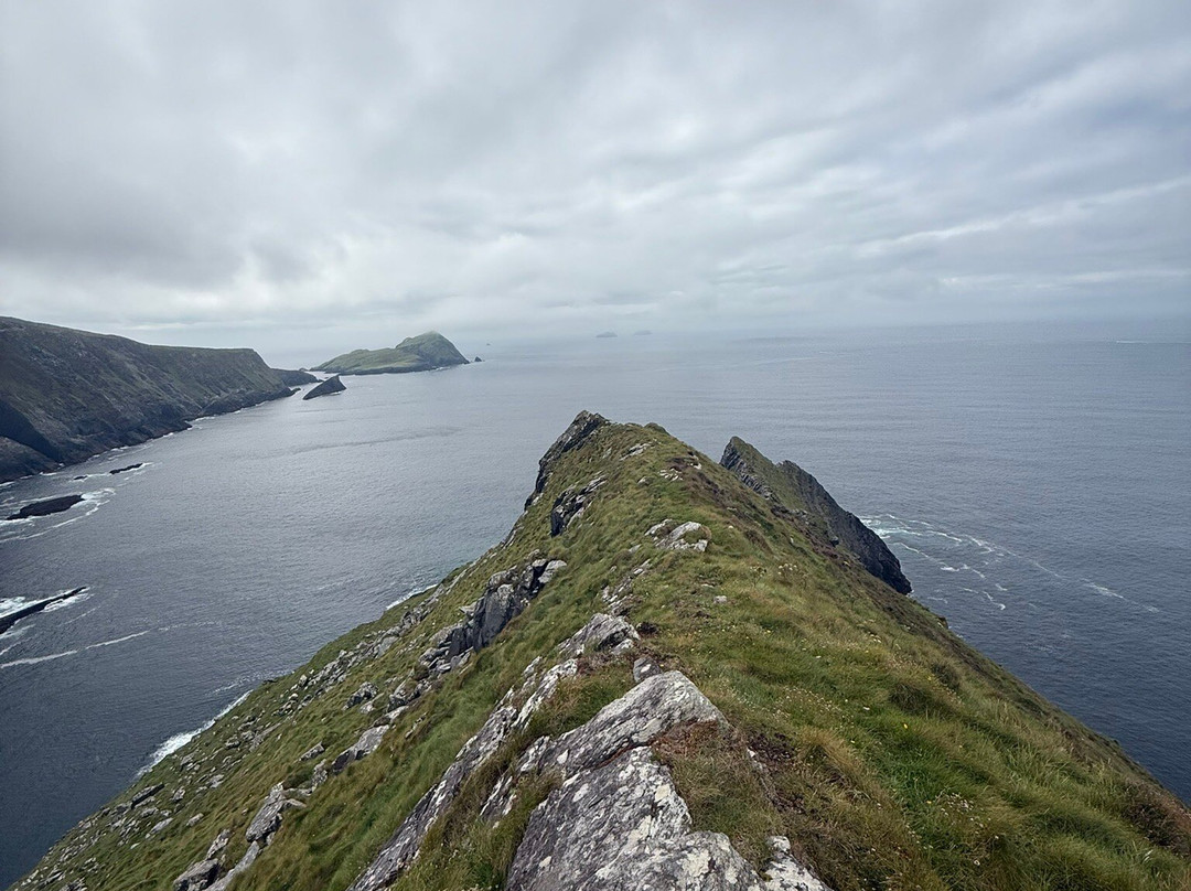 O'Callaghans Coaches & Chauffeur Services-基拉尼必去景点