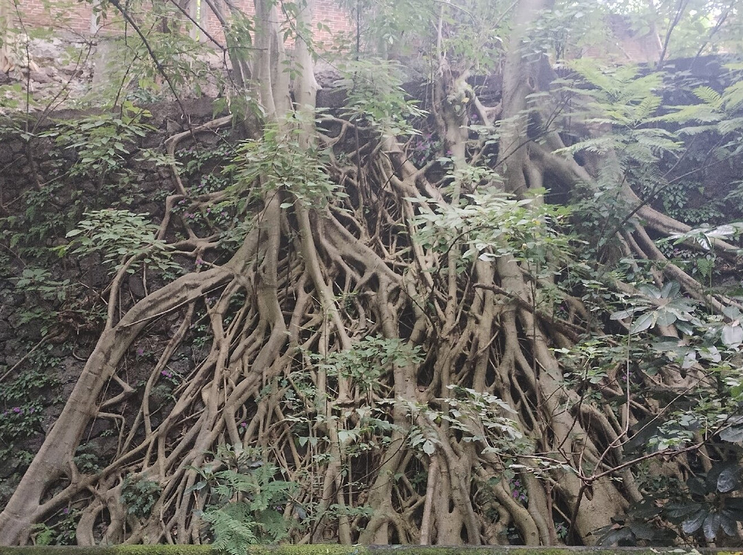 Parque Barranca Chapultepec-奎尔纳瓦卡必去景点