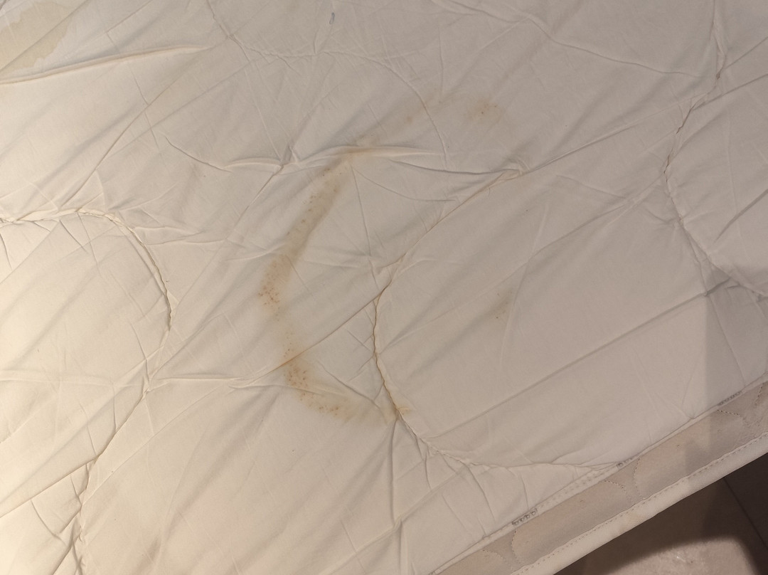 钟楼阿维农北庞特酒店主图