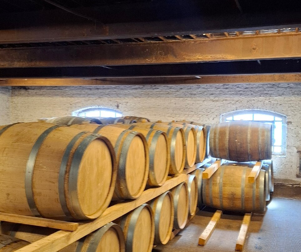 Brouwerij Het Anker-梅赫伦必去景点