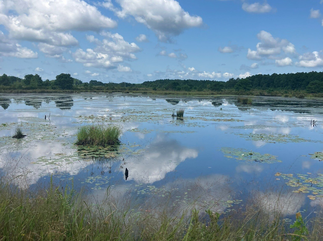 Franklin Parker Preserve-Chatsworth必去景点