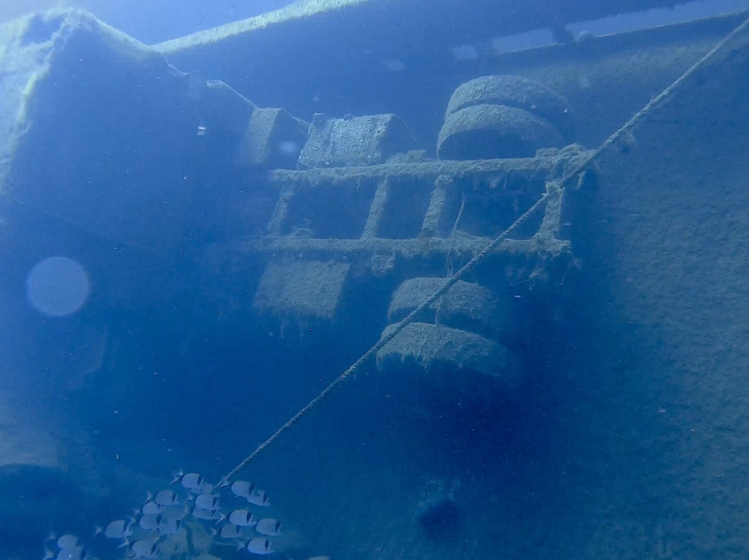 Coral Bay Divers-帕福斯必去景点