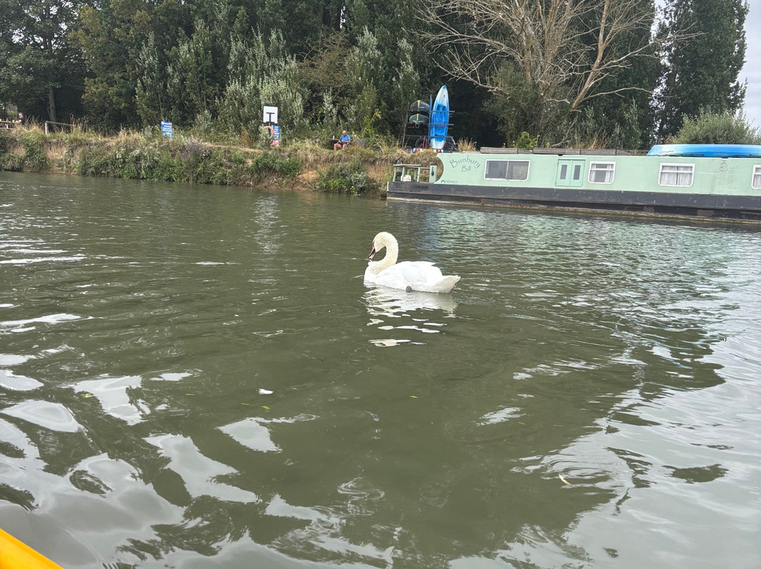Oxford Punts and Paddle Boats-威特尼必去景点
