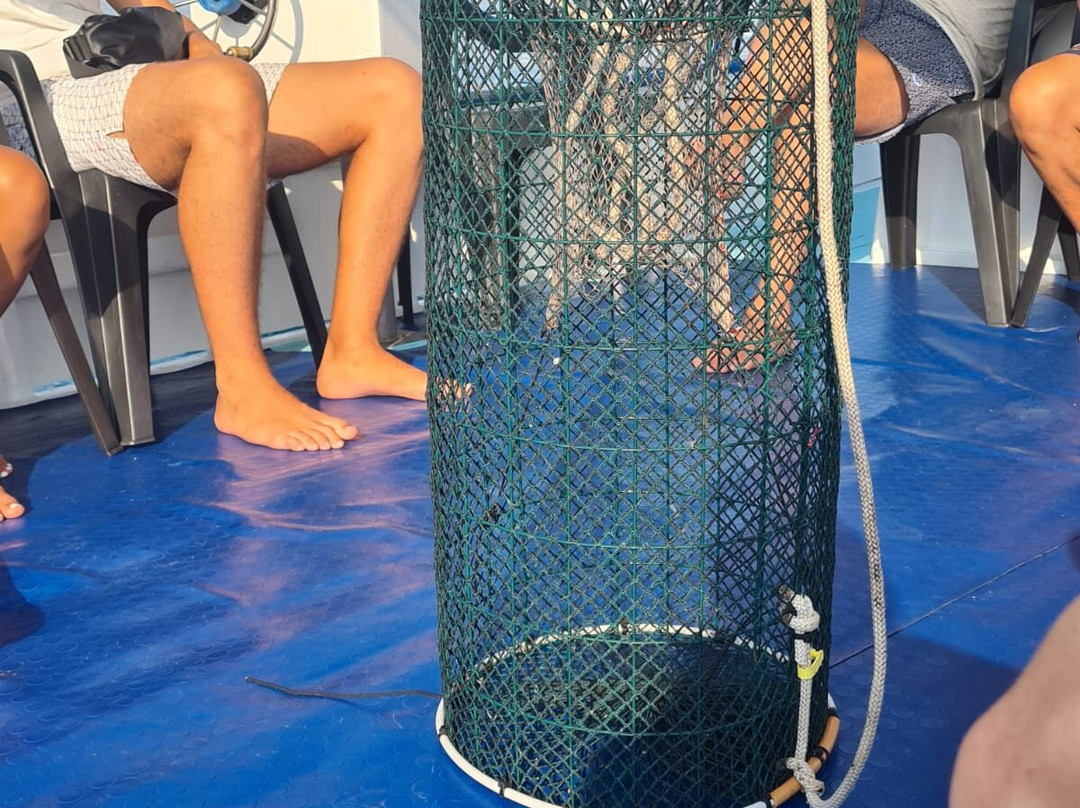 Pescaturismo K2-萨萨里省必去景点