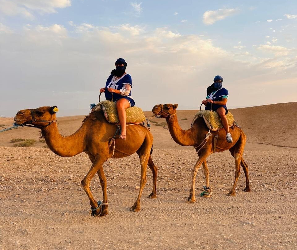 Atlas Holiday Morocco-马拉喀什必去景点