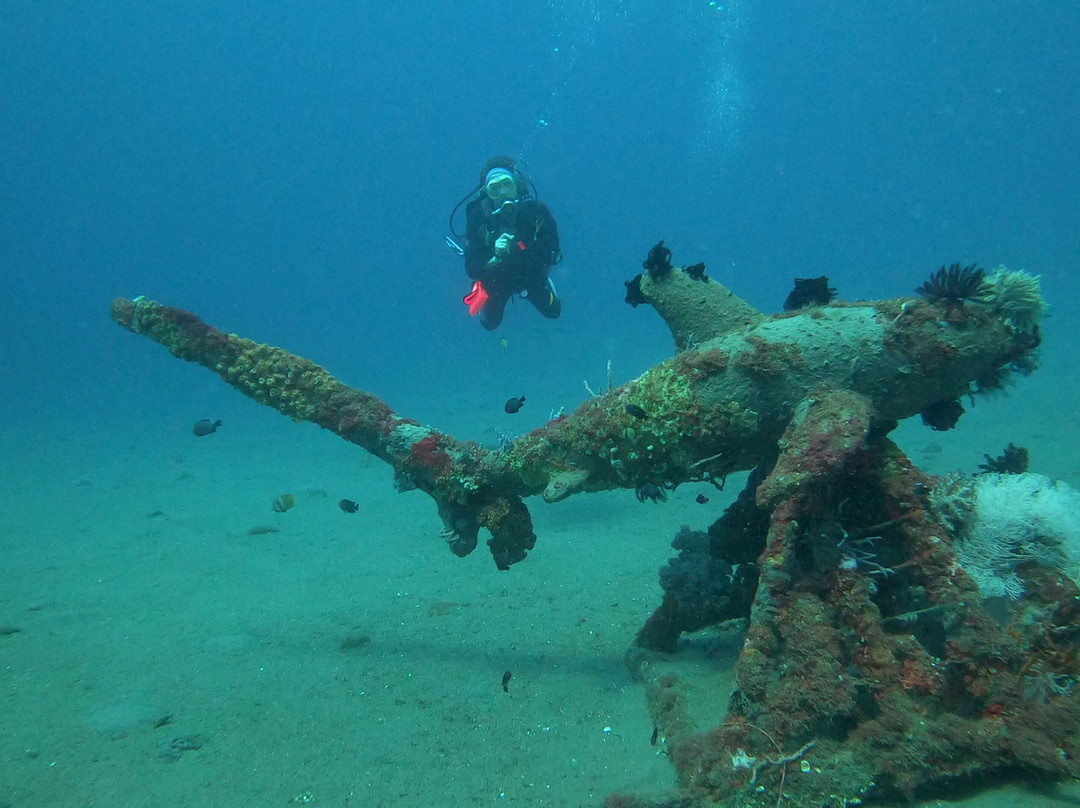Dive Society Dauin-岛印必去景点