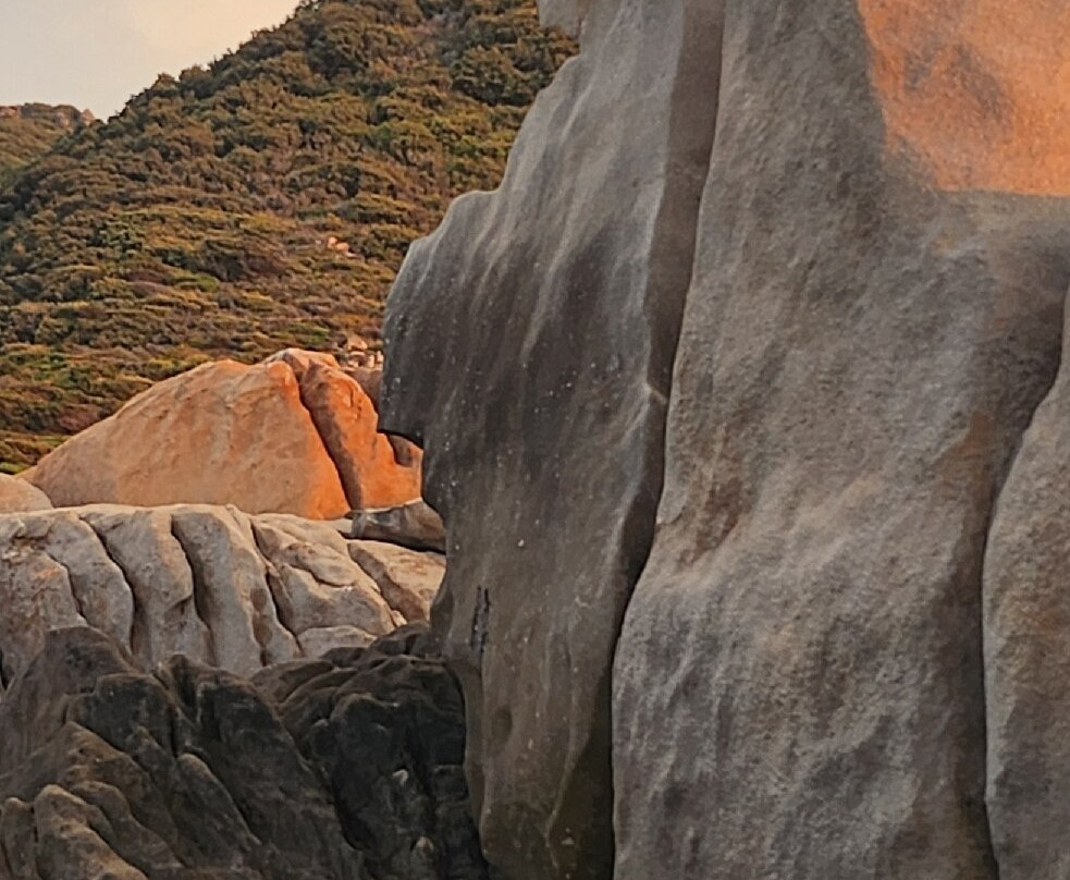 Cmpv Propriano-Propriano必去景点