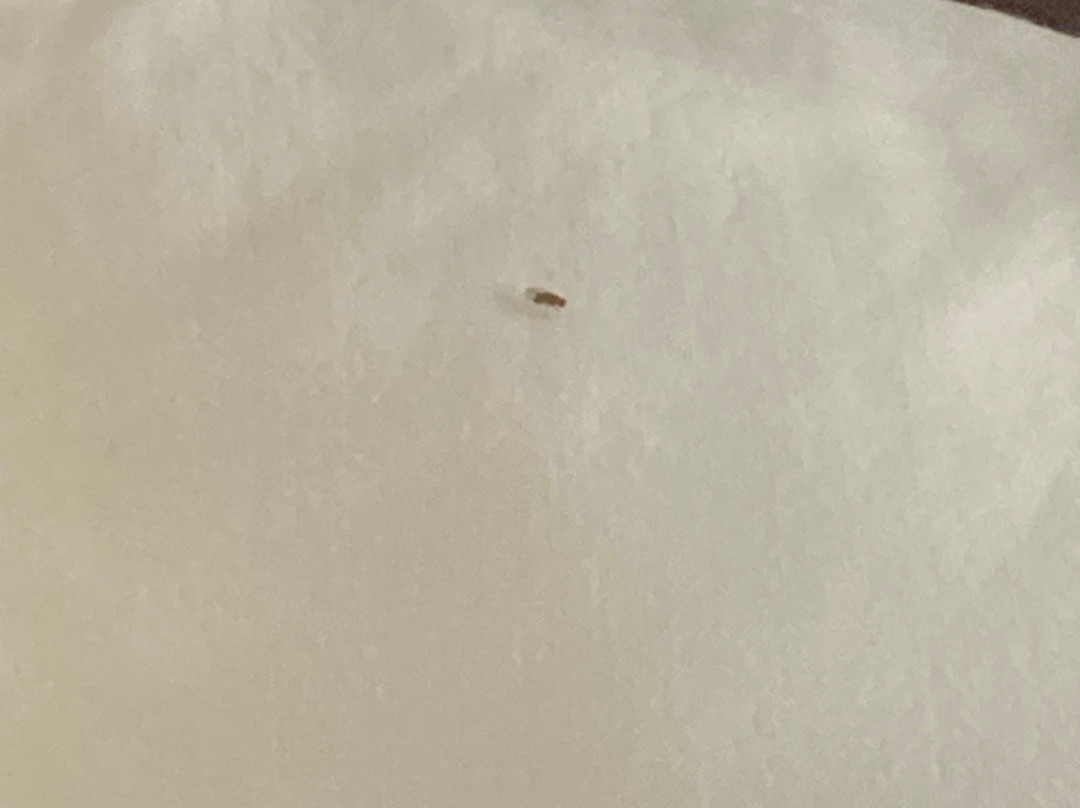 Wingate by Wyndham Athens near Downtown主图