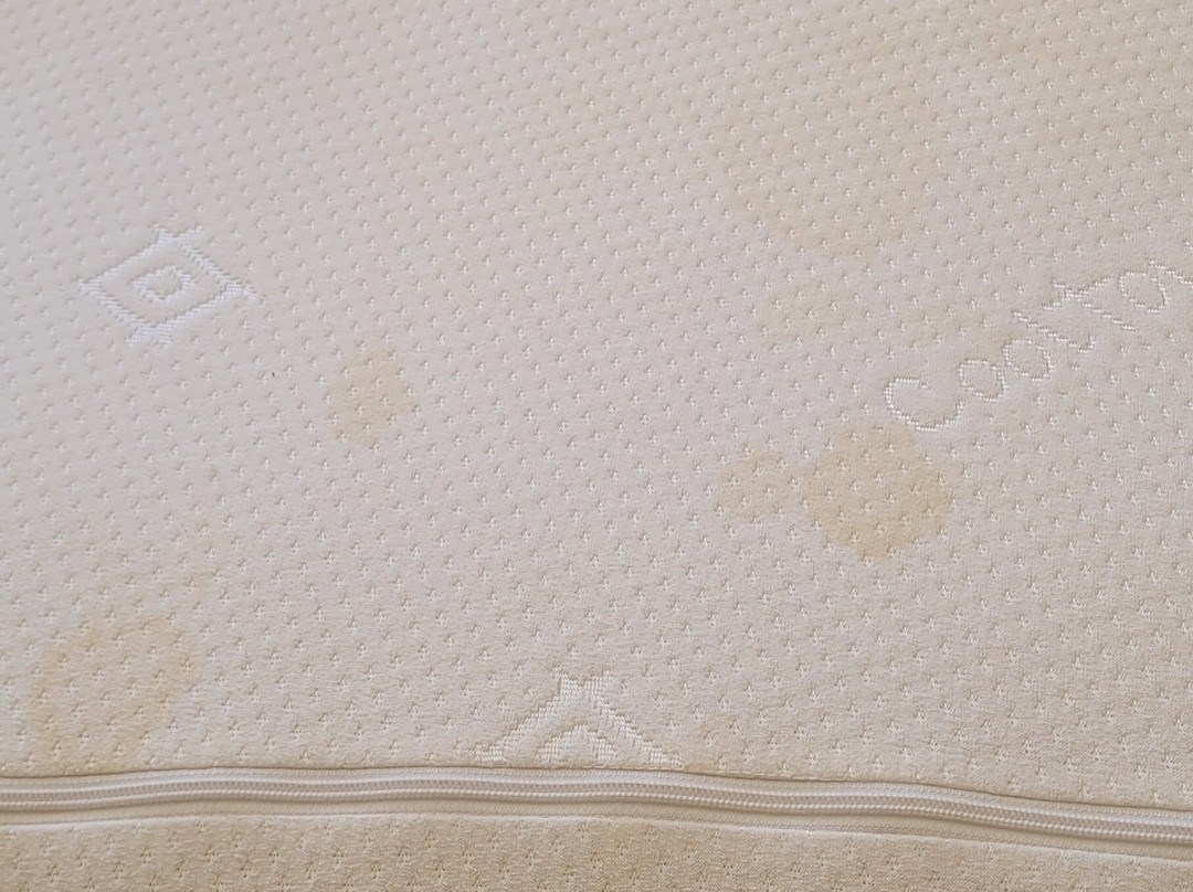 The Winston Guesthouse主图