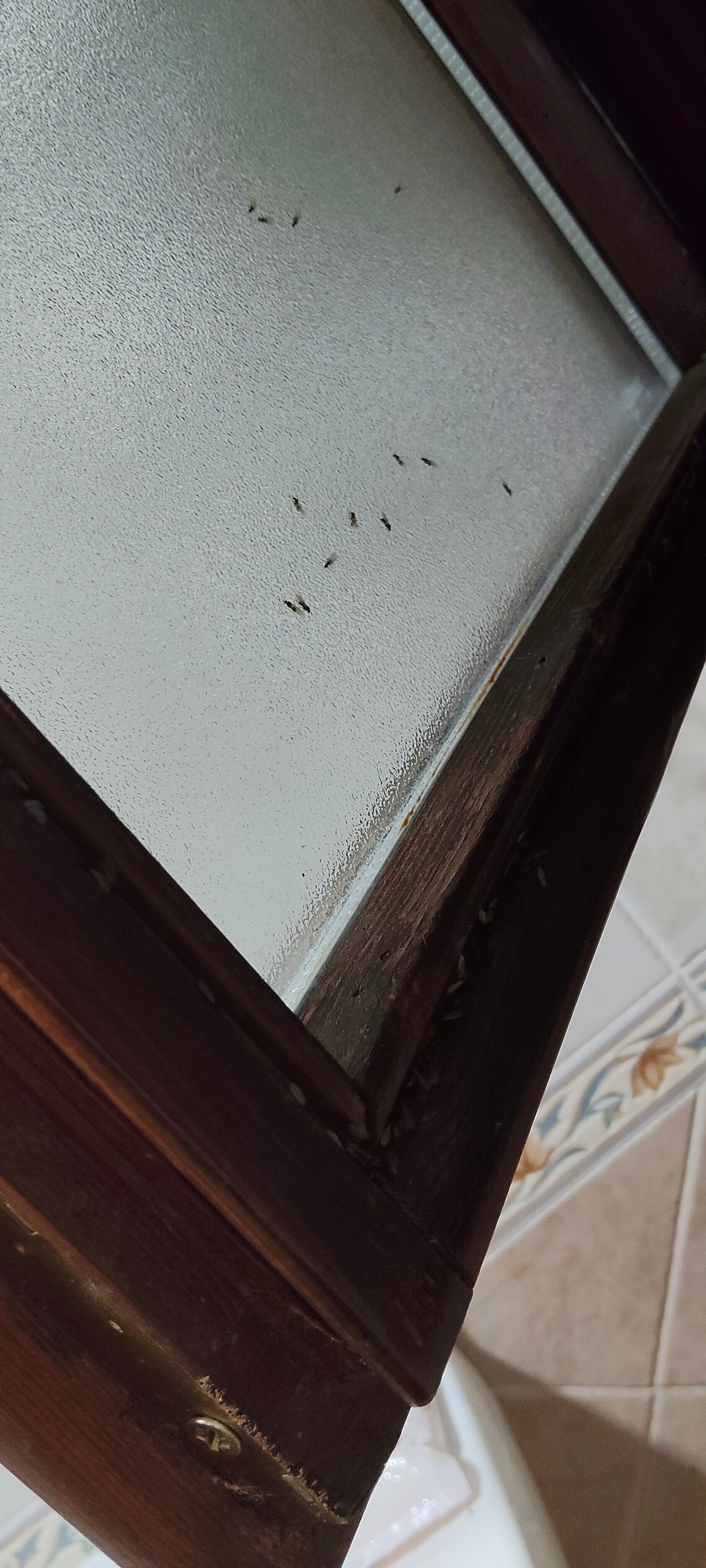 Hotel Puente Vidosa-官方