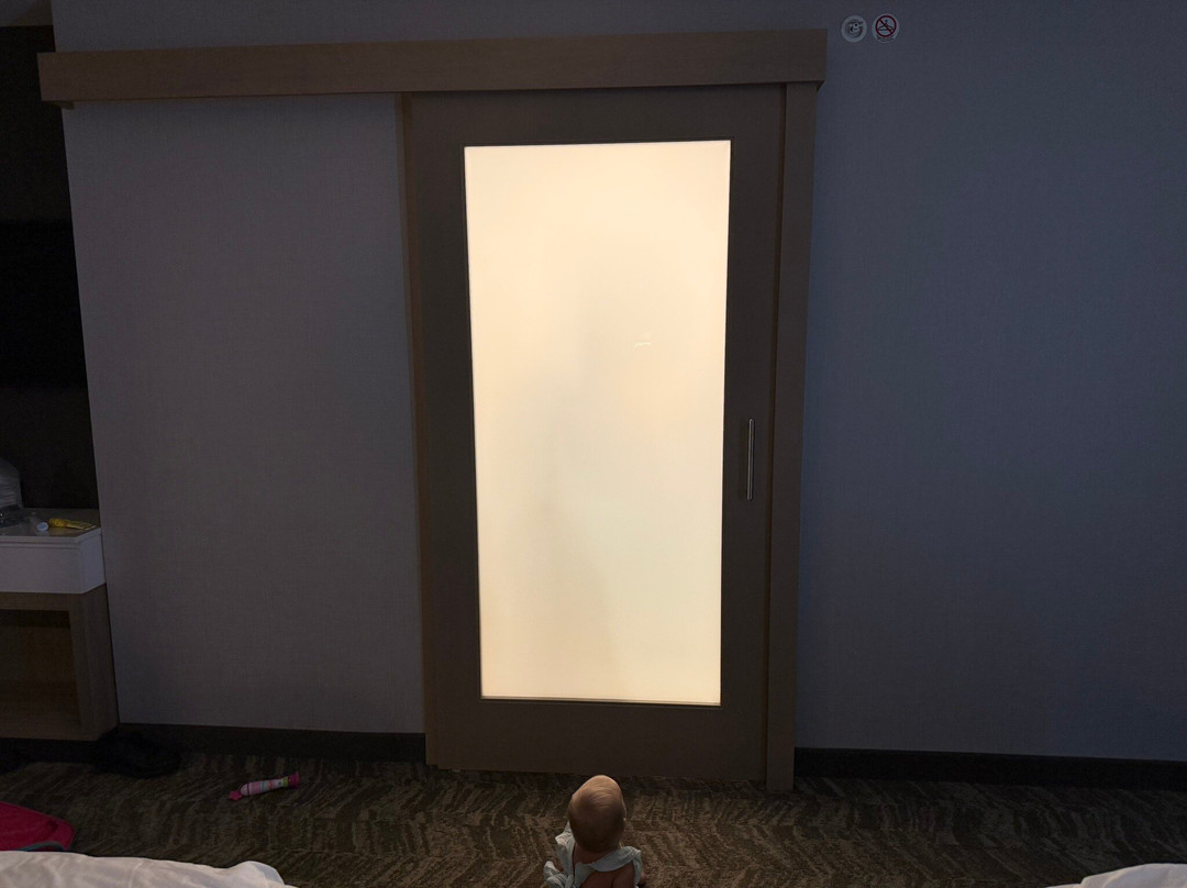 SpringHill Suites Indianapolis Westfield主图