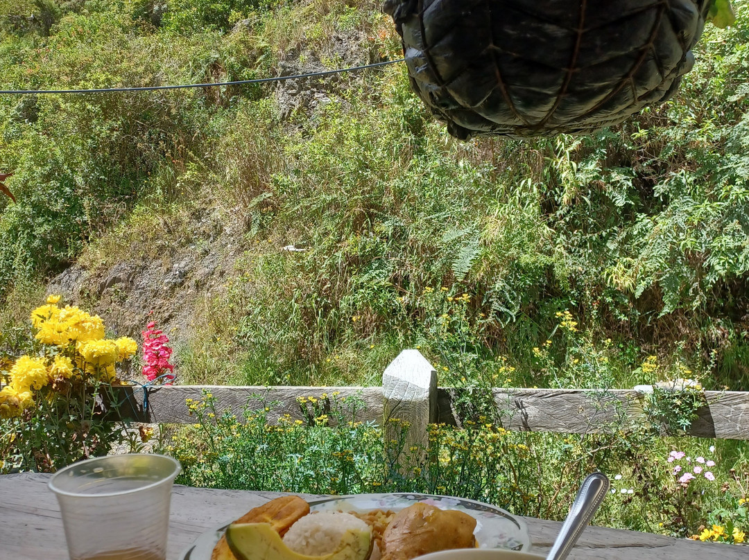 5to Elemento Tours-Boquia必去景点