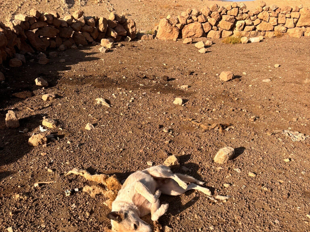 Trek Maroc Aventure-马拉喀什必去景点